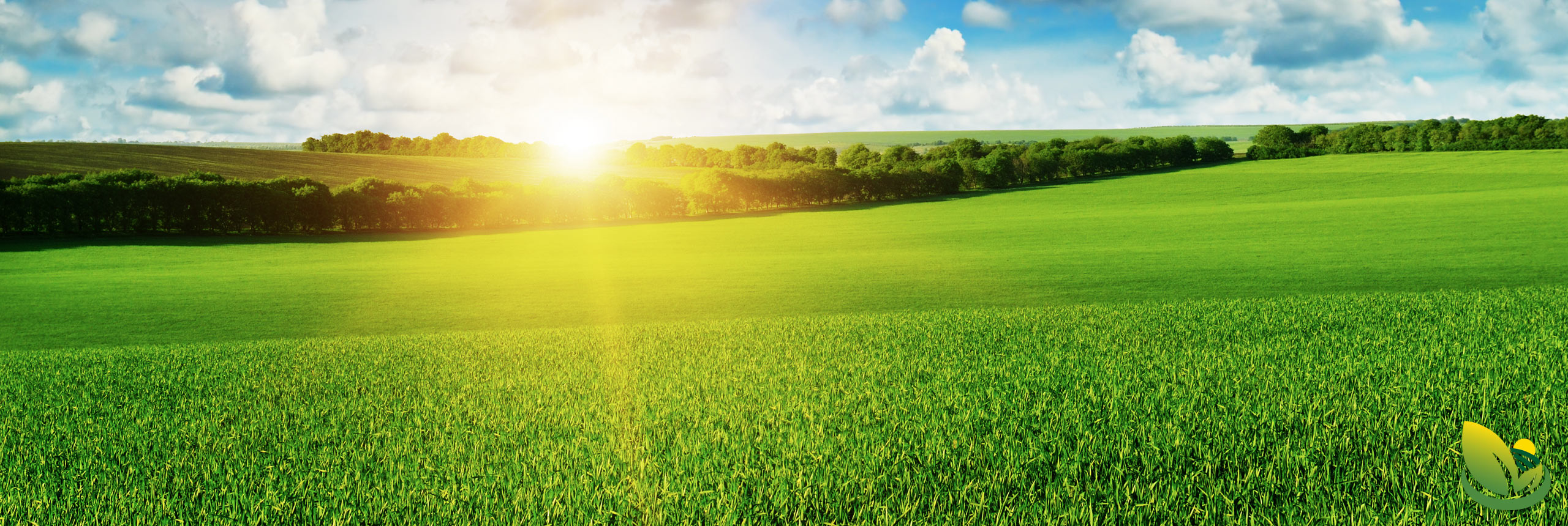 Gen-X-Ag agriculture retailer