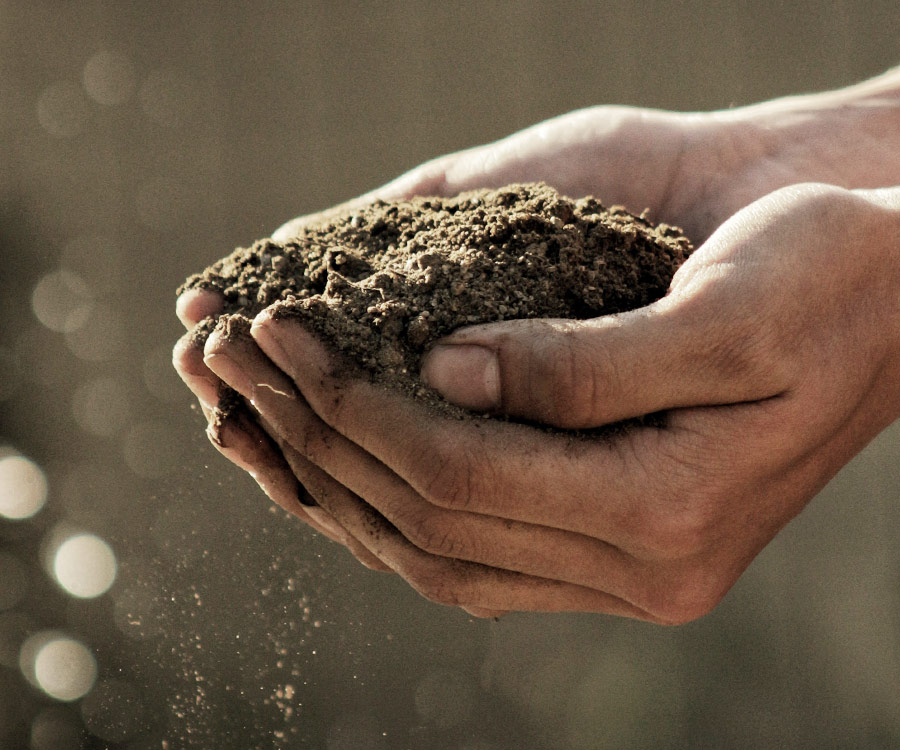 Agronomy Expertise Soil Science GenXAg